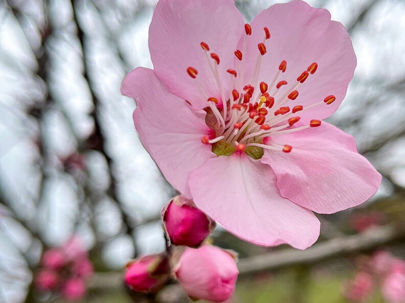 23-03-13 10-35-12 4822